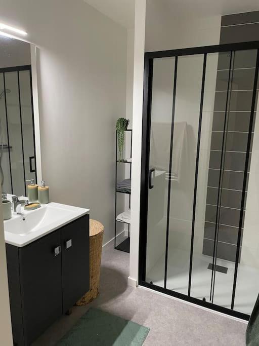 Superbe Appartement En Residence Avec Parking ルマン エクステリア 写真